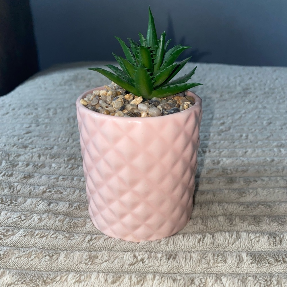 🌿 Chic Mini Faux Succulent in Blush Pink Pot 🌸